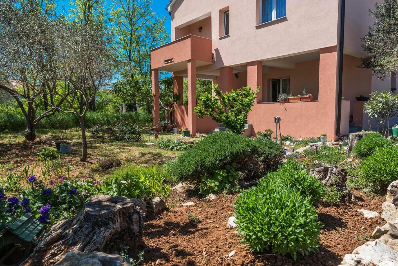 Apartman Micko Privlaka  Zewnętrze zdjęcie